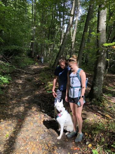 WNC Afield: You'll like this hike. Trust me