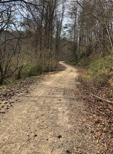 WNC Afield: Any day is a good day for Jarrett's Creek Trail