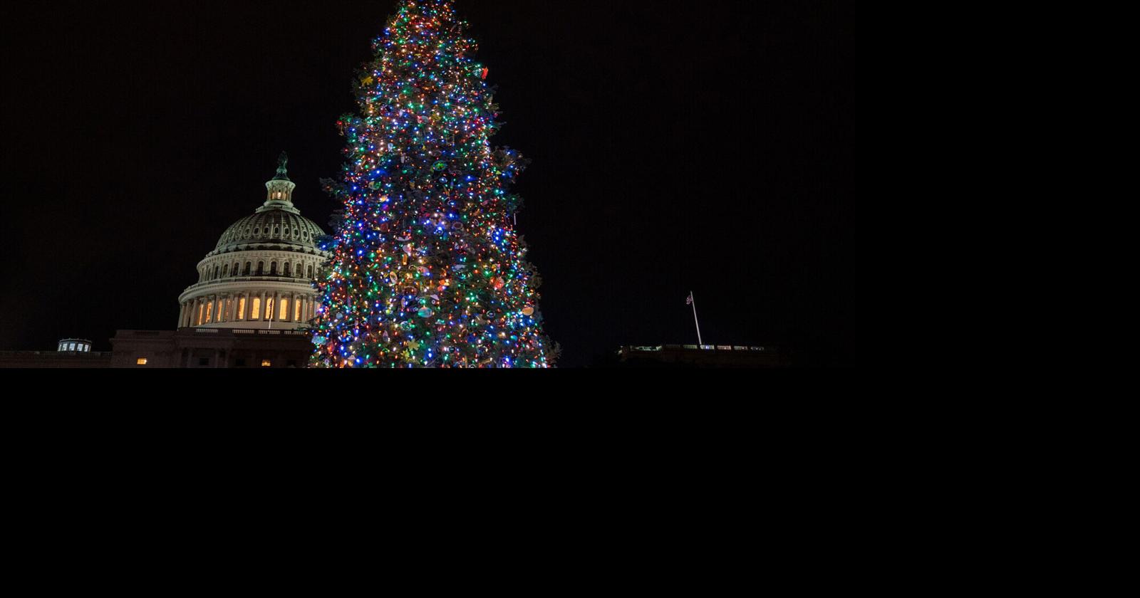 Marion is a stop on Capitol Christmas Tree Tour. North Carolina to Washington, D.C. Nov. 5-18