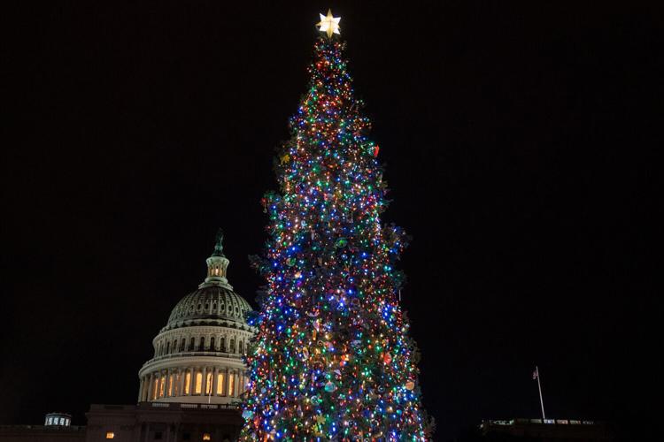 24 christmas tree 1.jpg