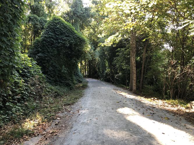 Ribbon-cutting ceremony held for Peavine Trail section on State Street in Marion