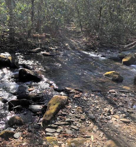 WNC Afield: Armstrong Creek Trail a little soggy, but worth it