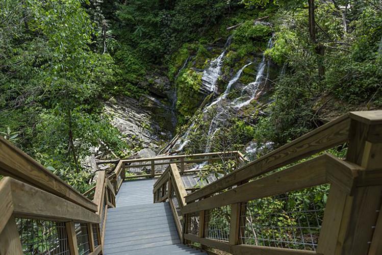 Article from Destination McDowell 3.jpg