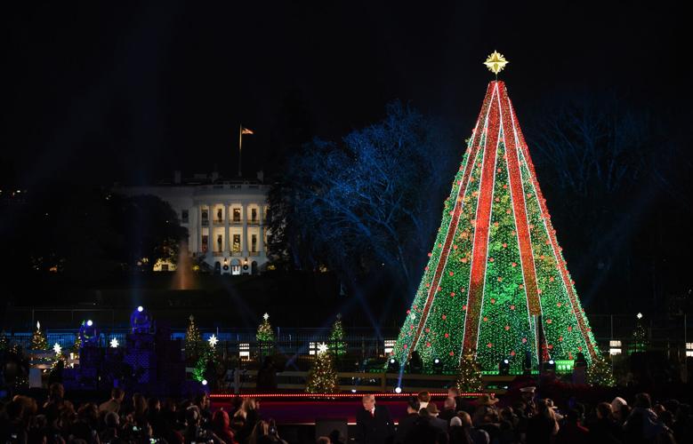 US-NEWS-CHRISTMASTREE-CLIMBER-ABA