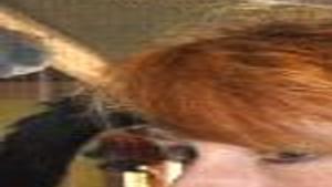 Feral Cat Program Fixes Problem News Mcdowellnews Com