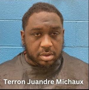 Child predator bust.jpg (copy)