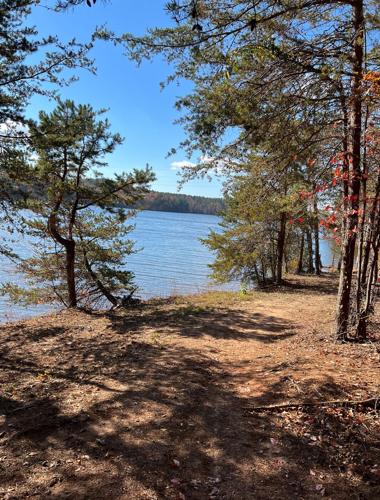 WNC Afield: Longing for level ground? This hike's for you