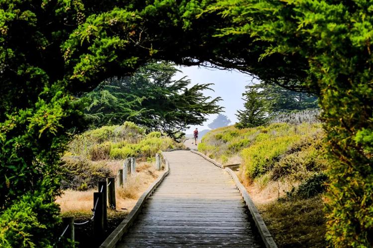 The beach boardwalk along Moonstone Beach.