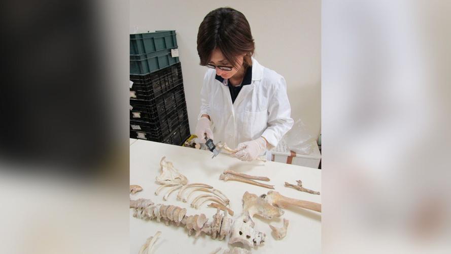 Human genome of Pompeii victim sequenced for the first time