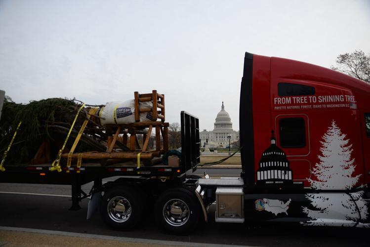 US NEWS CAPITOL-CHRISTMASTREE 1 WA