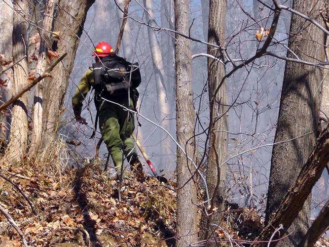 Tractor trailer destroyed by fire on I-40