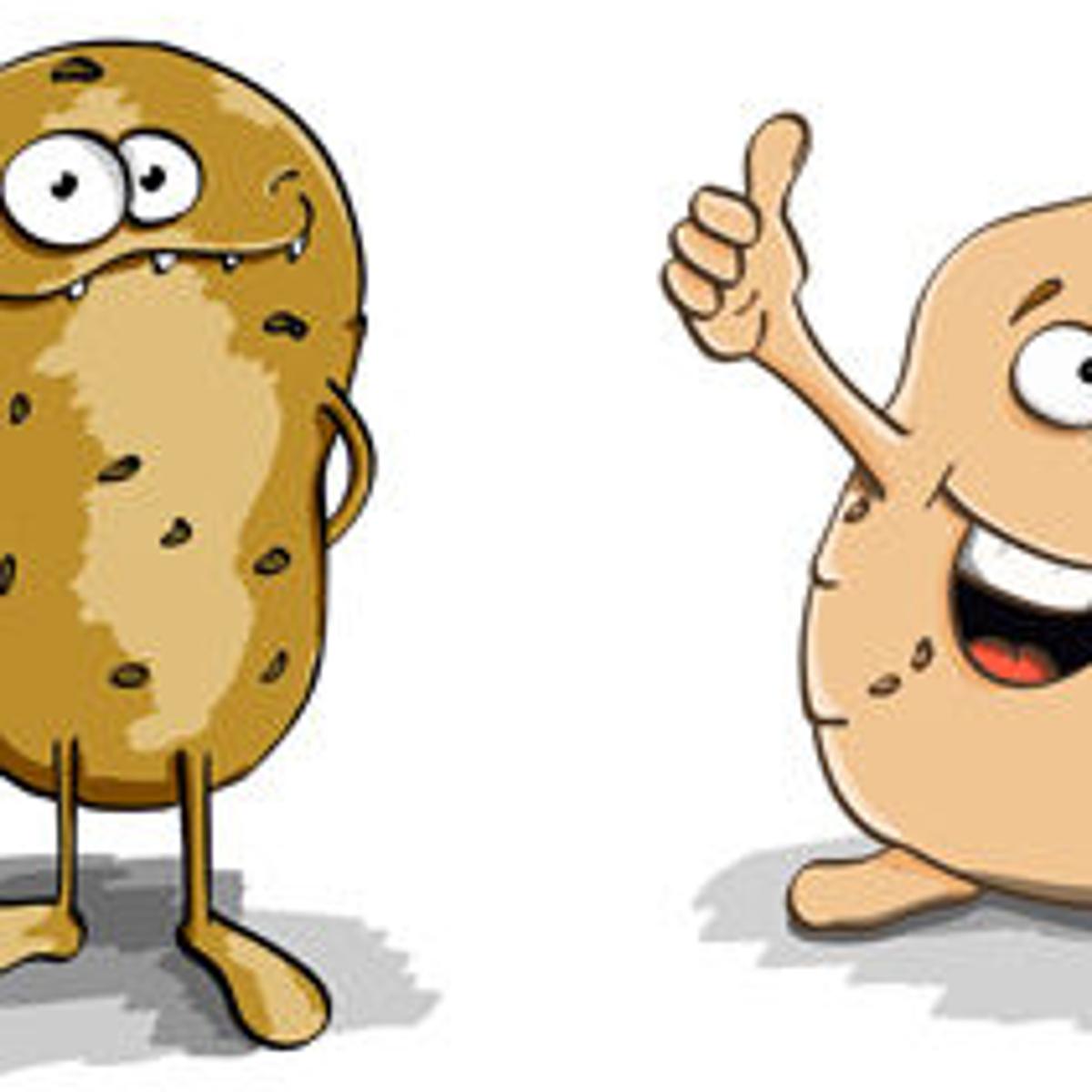 Scott Hollifield Is Potato Case Headed To Court Of A Peels Entertainment Mcdowellnews Com Scott Hollifield Is Potato Case Headed To Court Of A Peels Entertainment Mcdowellnews Com