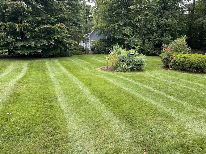 Clearview Lawn Care 2.jpg