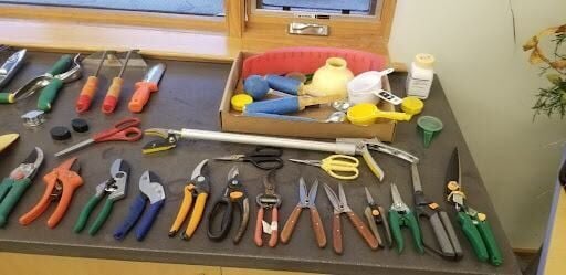 Tending to Safety in the Therapeutic Garden