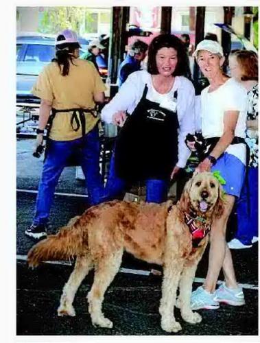 Master Gardeners of McDowell County hold Spring Fling Plant Sale