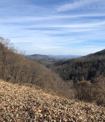 WNC Afield: It's all uphill from here