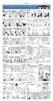 Page D5