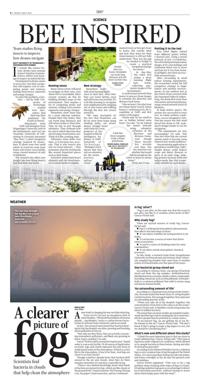 Page C6