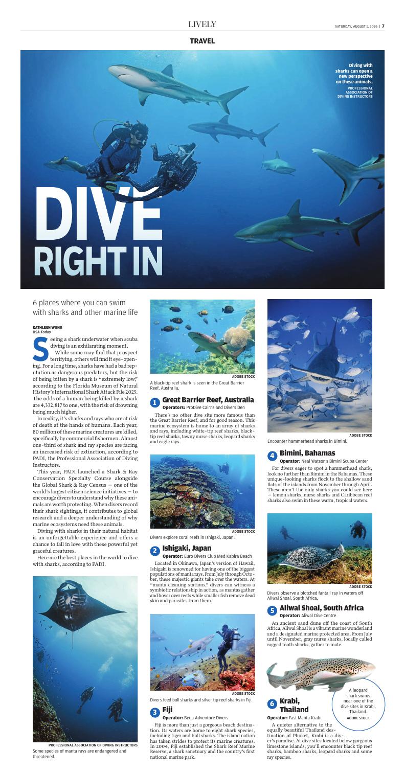 Page D7