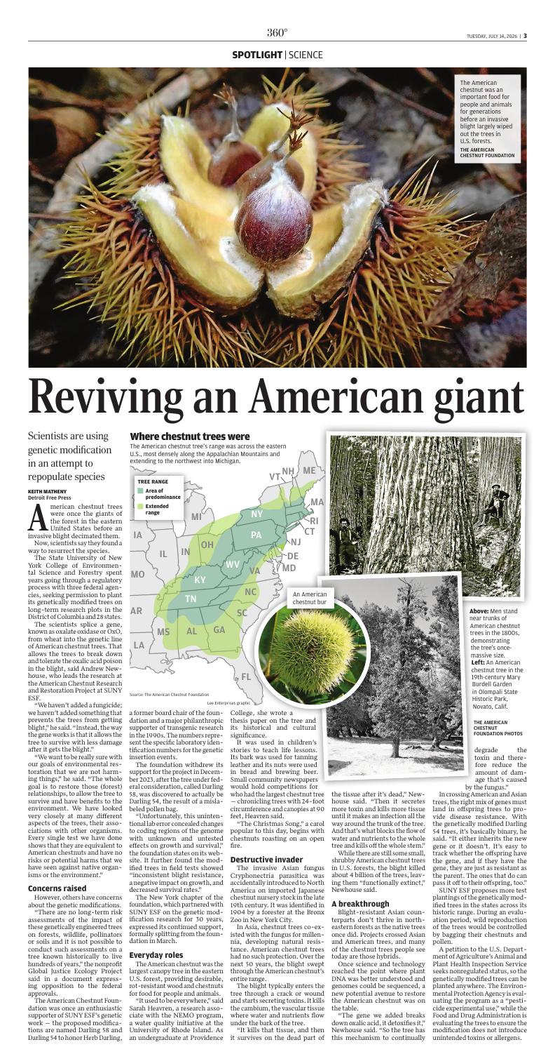 Page C3