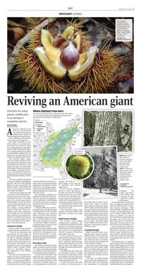 Page C3