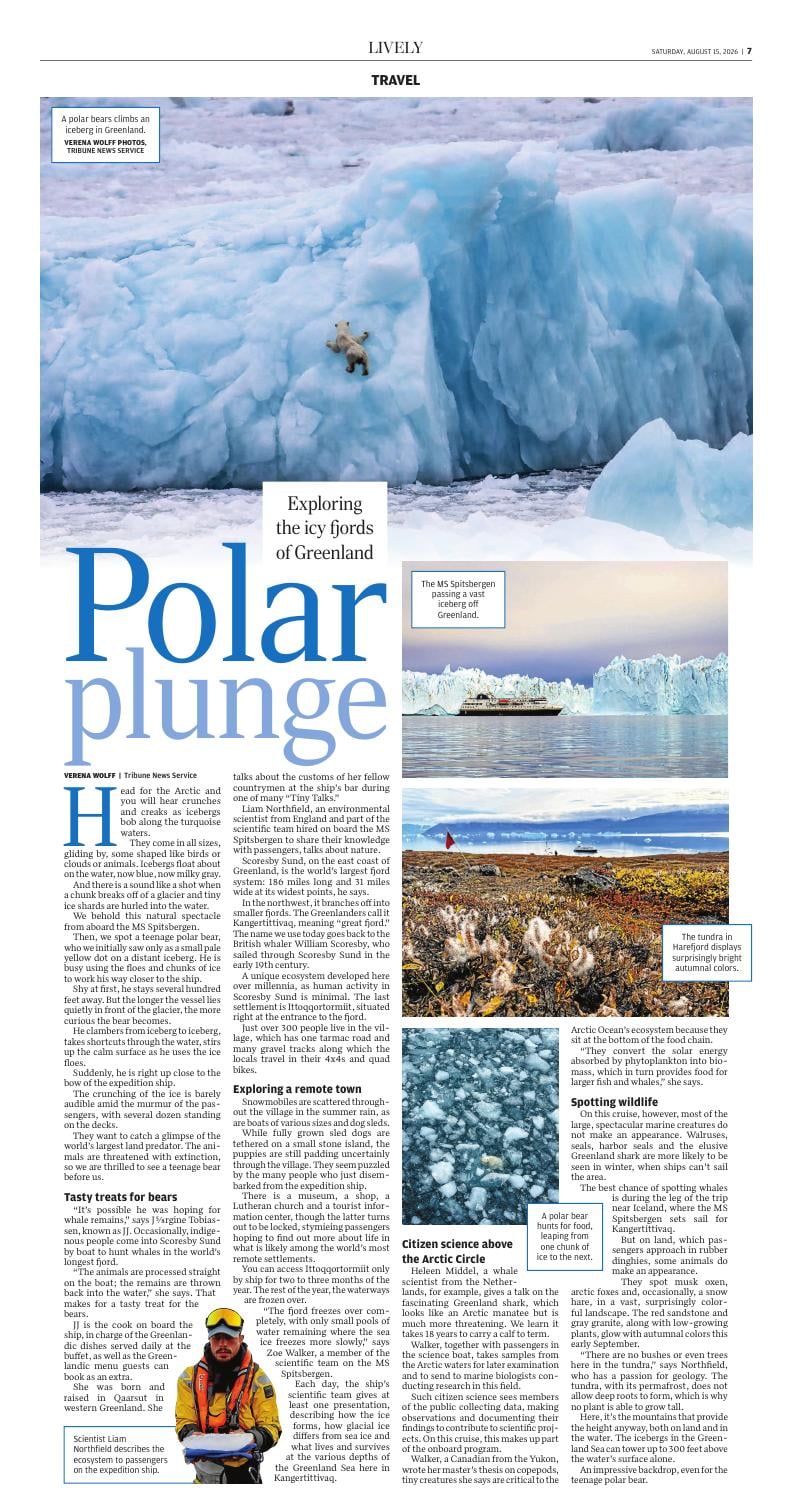 Page D7