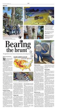 Page C4