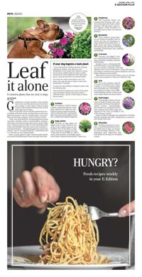 Page O10
