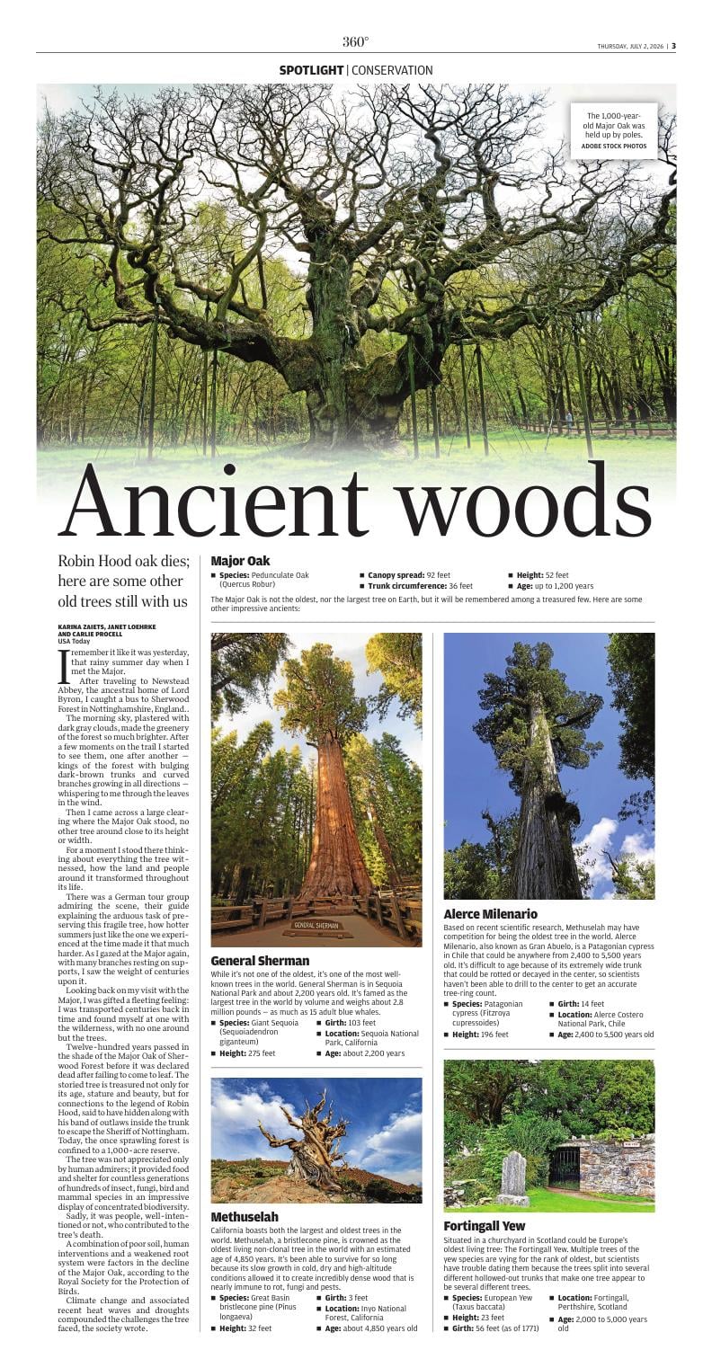 Page C3