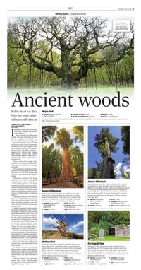 Page C3
