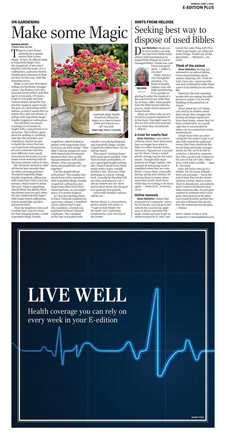 Page O8