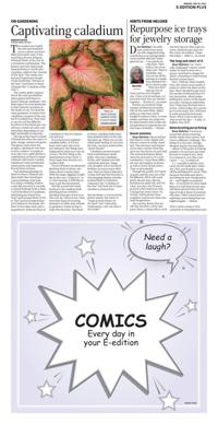 Page O8