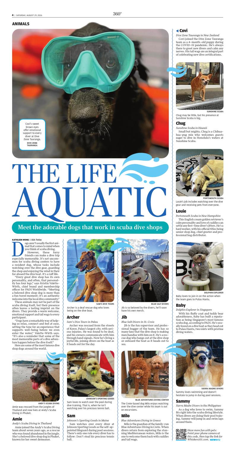 Page C4