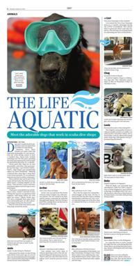 Page C4