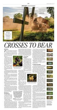 Page C3