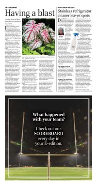 Page O8