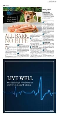 Page O12