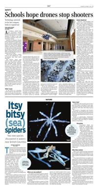 Page C5