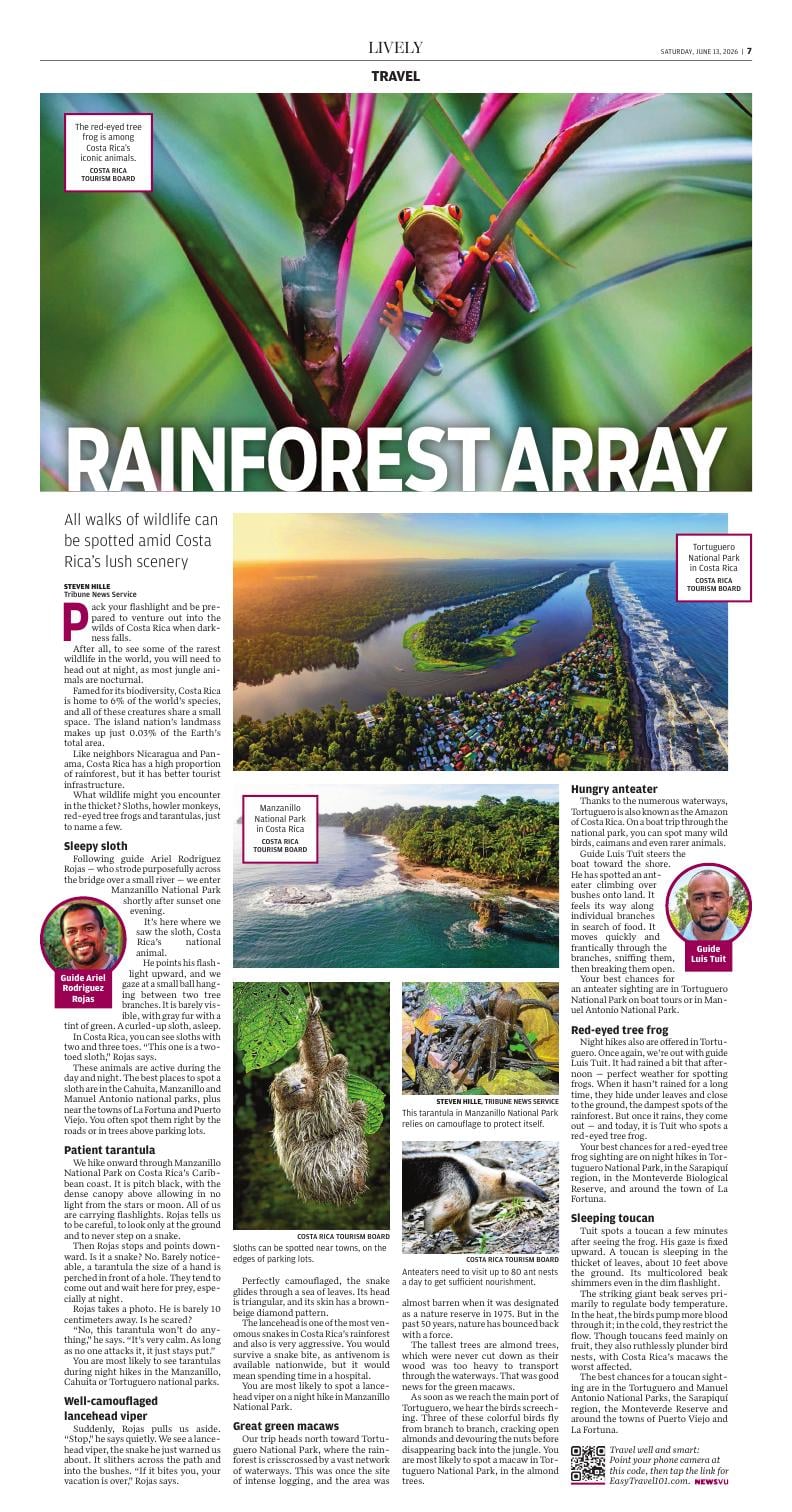 Page D7