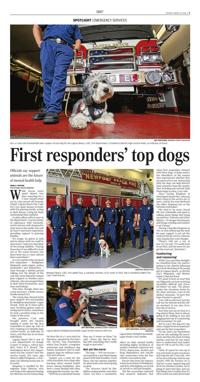 Page C3