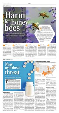 Page C6