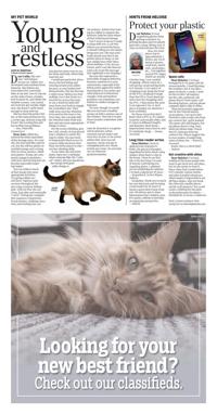 Page O8