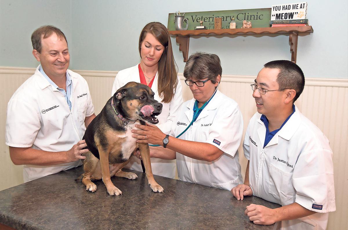 The Veterinary Clinics Dr Ali T Daniel Brings Special Passion
