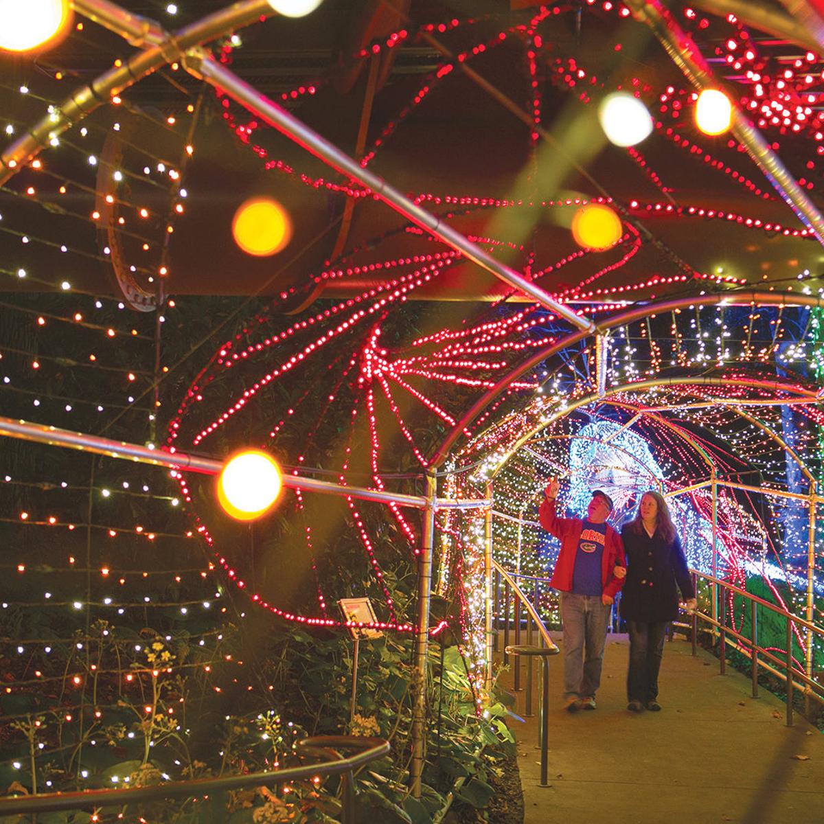 Atlanta Botanical Garden S Garden Lights Holiday Nights Now An