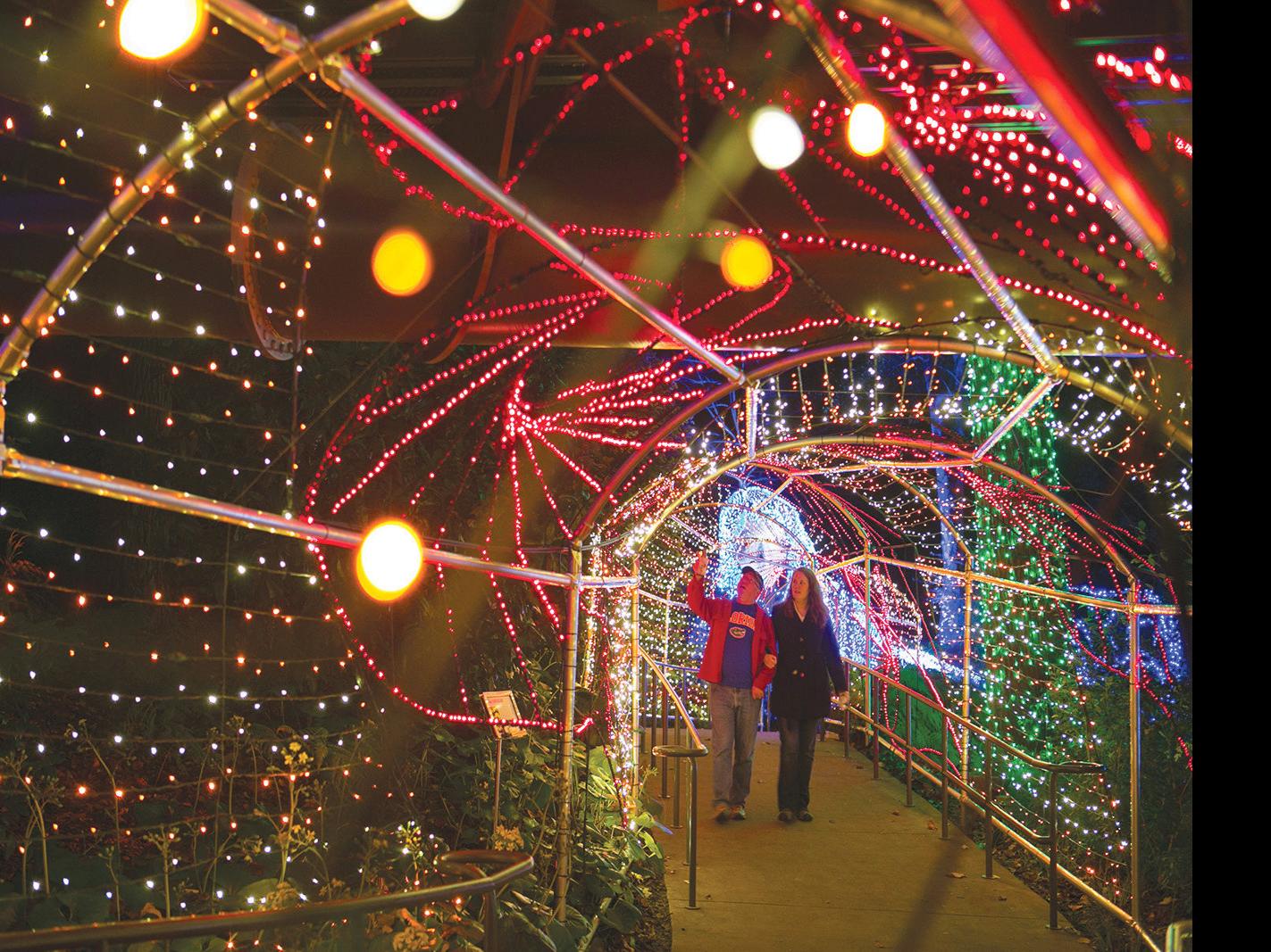 Atlanta Botanical Garden S Garden Lights Holiday Nights Now An Annual Tradition Northside Sandy Springs Neighbor Mdjonline Com