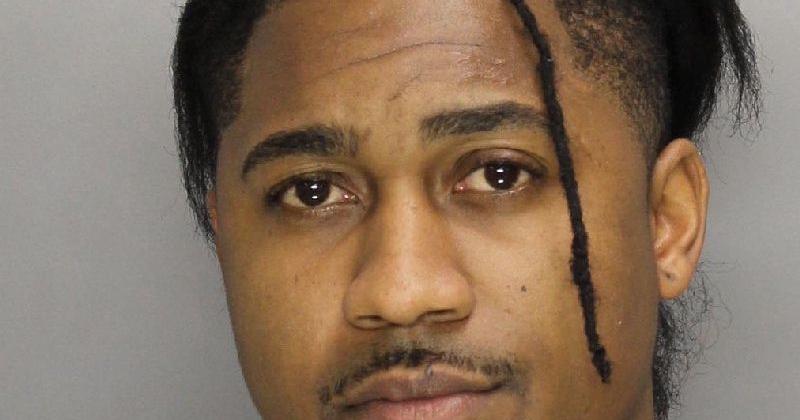 Smyrna man arrested after dog shot at Powder Springs park | Police Fire ...