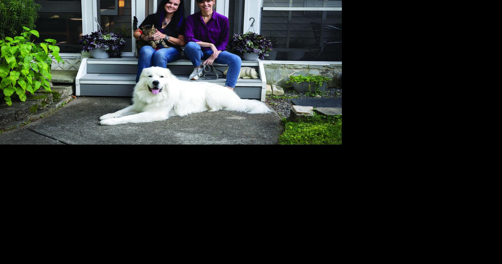 Cobb’s surprising connection to nationally recognized pet experts | Cobb Life Magazine