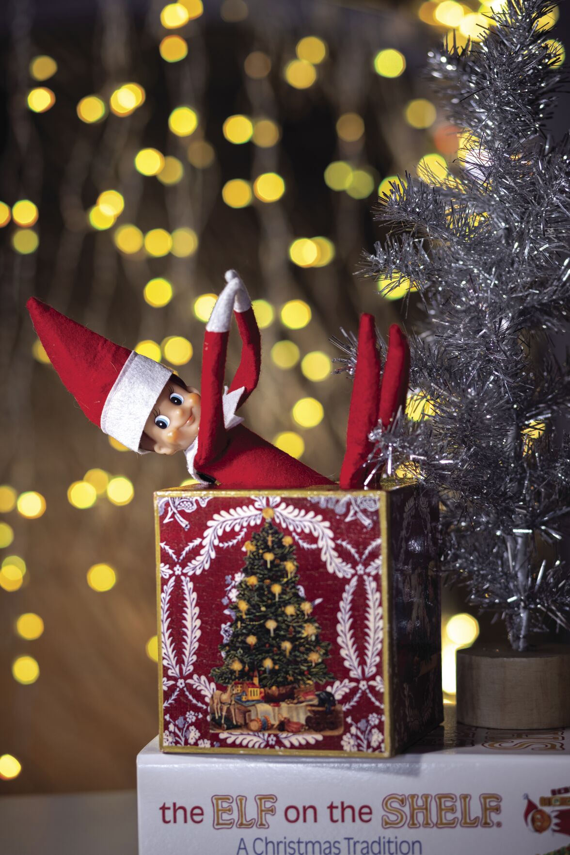 Marietta Oh Chamber Christmas 2022 The Elf On The Shelf': How A Family Tradition Grew To A Global Christmas  Enterprise | Cobb Life Magazine | Mdjonline.com