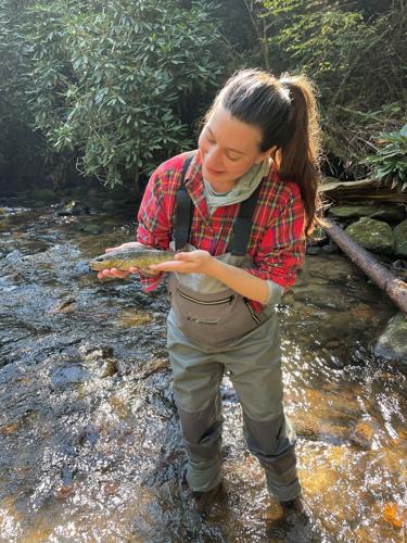 Calling all trout anglers: Delayed harvest begins Nov. 1, Lifestyle