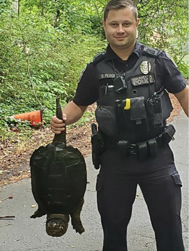 Turtle Cop AROUND TOWN: Drive-thru veggie and cop corrals a tortoise | Opinion ...